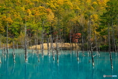 紅葉に映える水の色