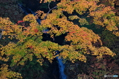 錦の彩り