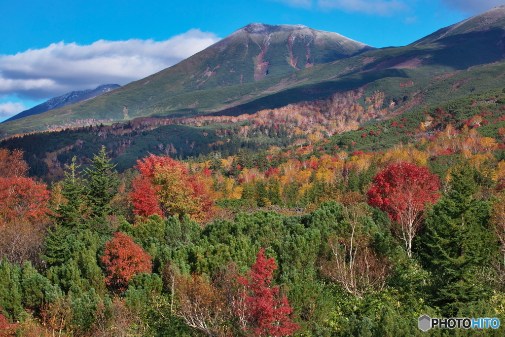 望岳台から望む紅葉