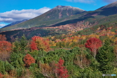 望岳台から望む紅葉
