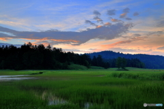 夕映えの湿原