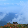 高地の彩り