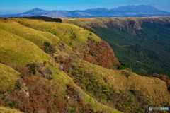 秋色に染まる大地