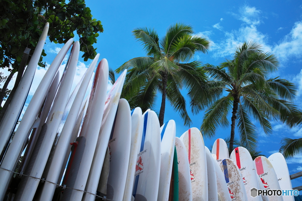 Longboard