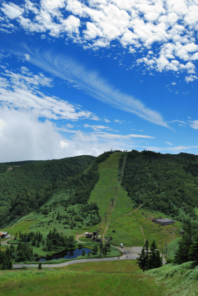 羽雲