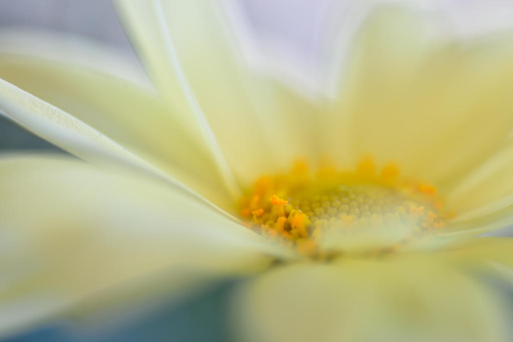 to be glad