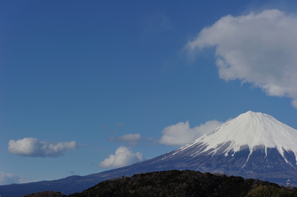 駿河からの富士