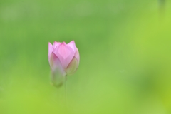 float up