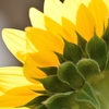 Permeability