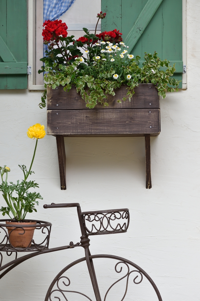 Window of flower beds