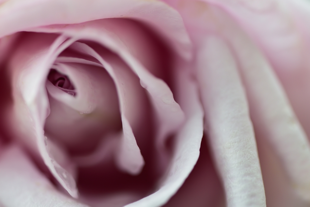 tears of gratitude