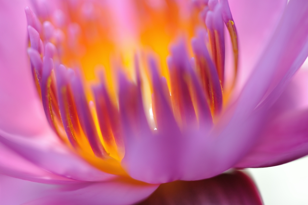 aroma candle