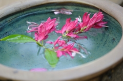 flost flower