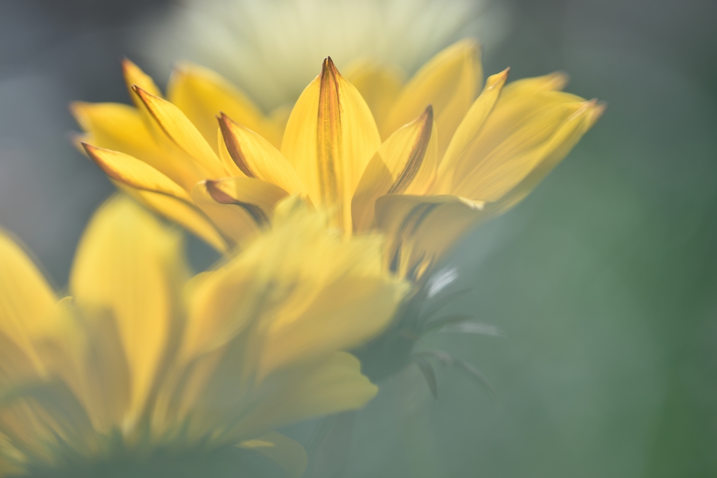 Hope