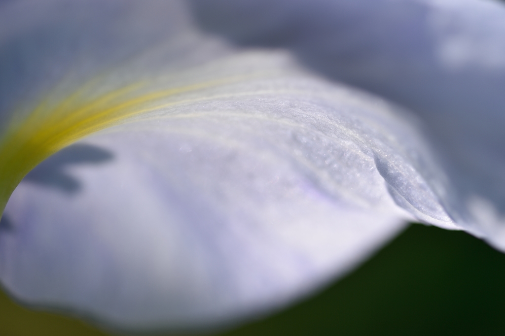 Transmitted light