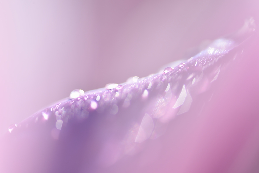 Wrapped light