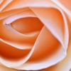 layer