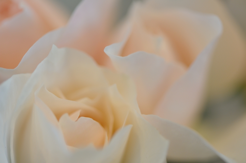 pale