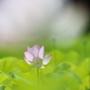 aura