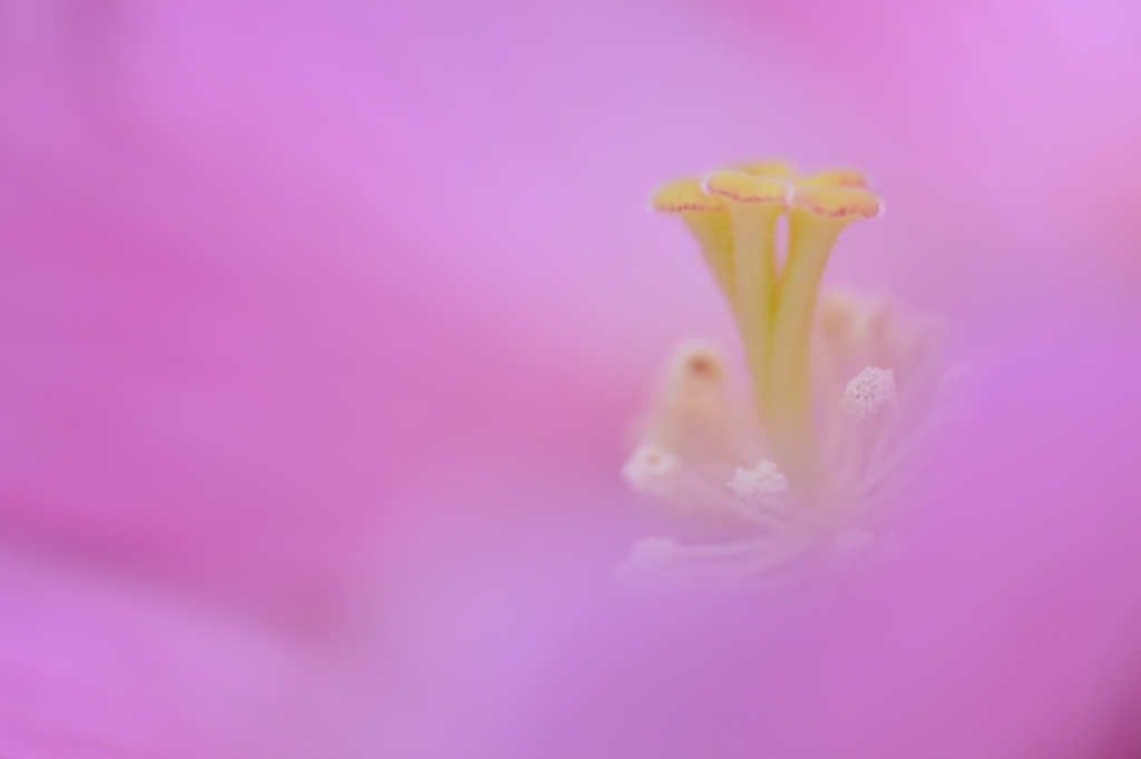 Breathing