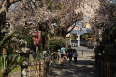 木漏れ日の情景