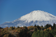 新春