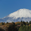 新春