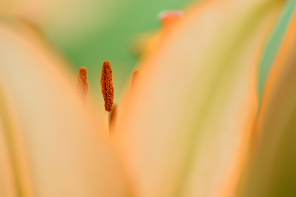 You can glimpse