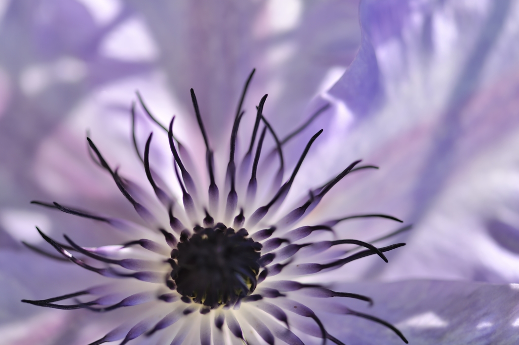 artifice