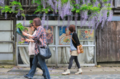 新潟　弥彦ＲＯＡＤ巡り