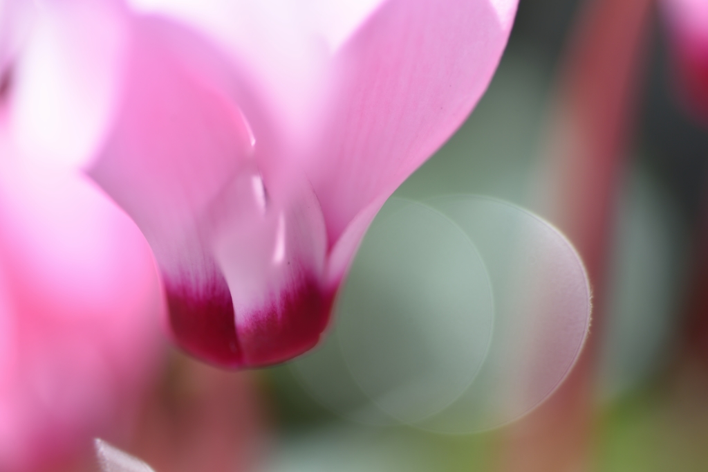 shyness