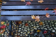 Wet bench