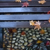 Wet bench