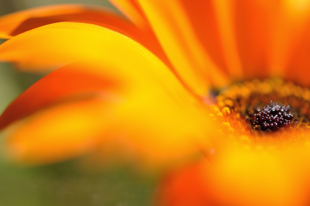 cheerfulness