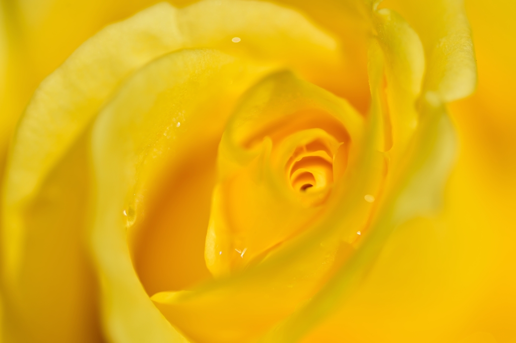 Be delighted