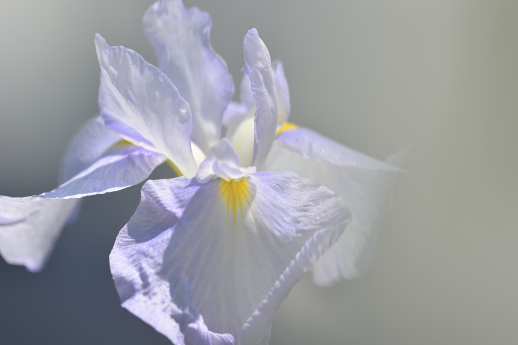 Soft light
