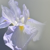Soft light