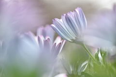 Yearn