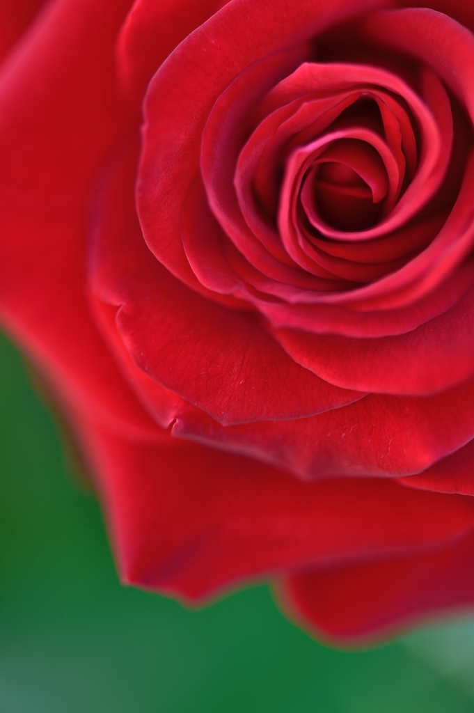 Deep red