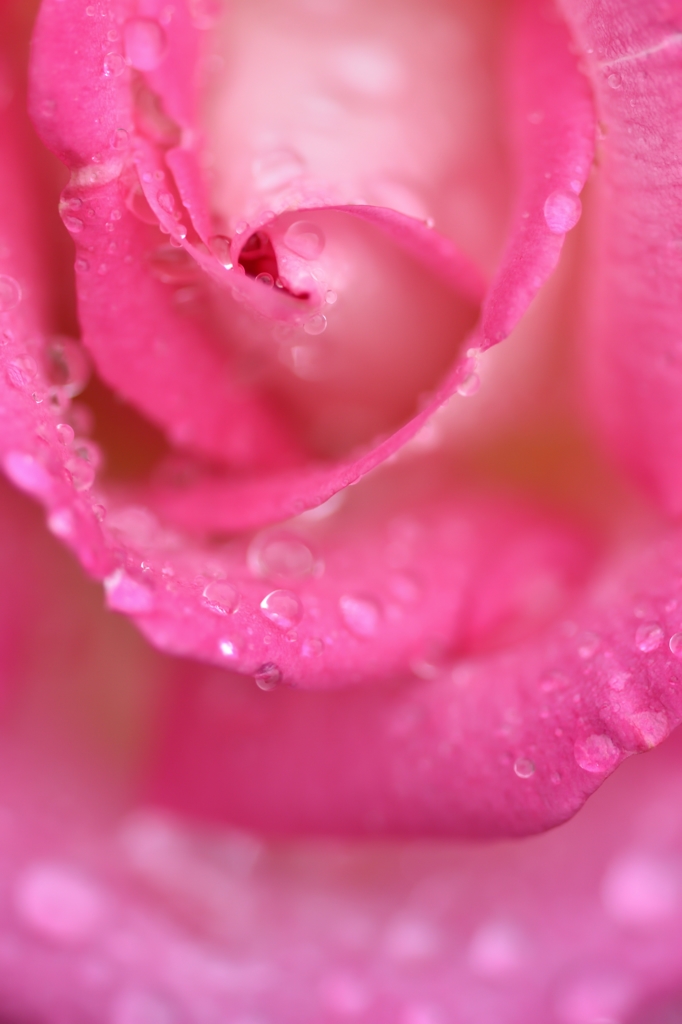 romance 
