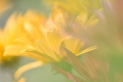 Warm color