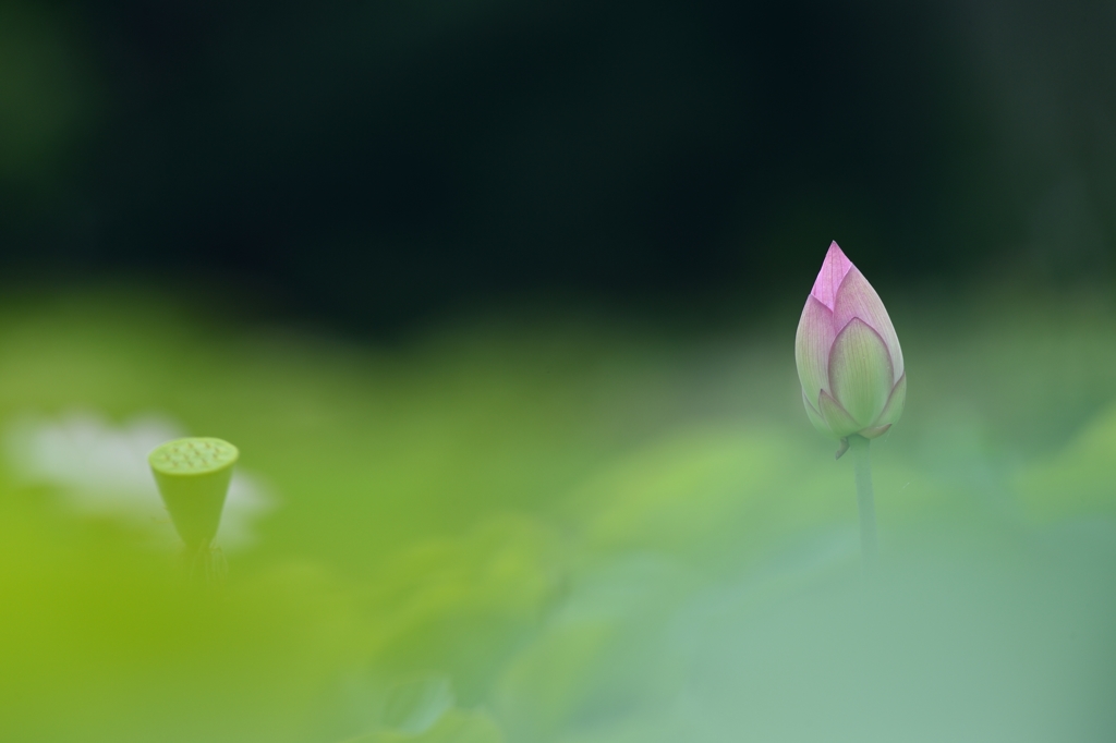 Silence 