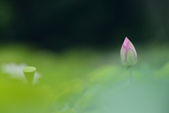 Silence 