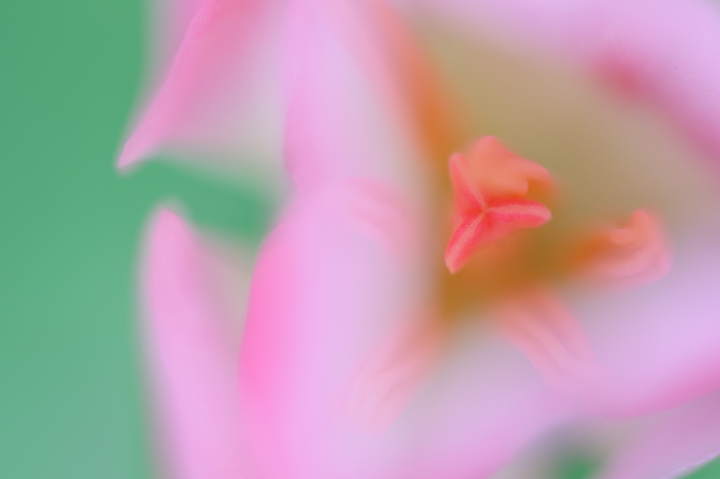 secret Ⅲ