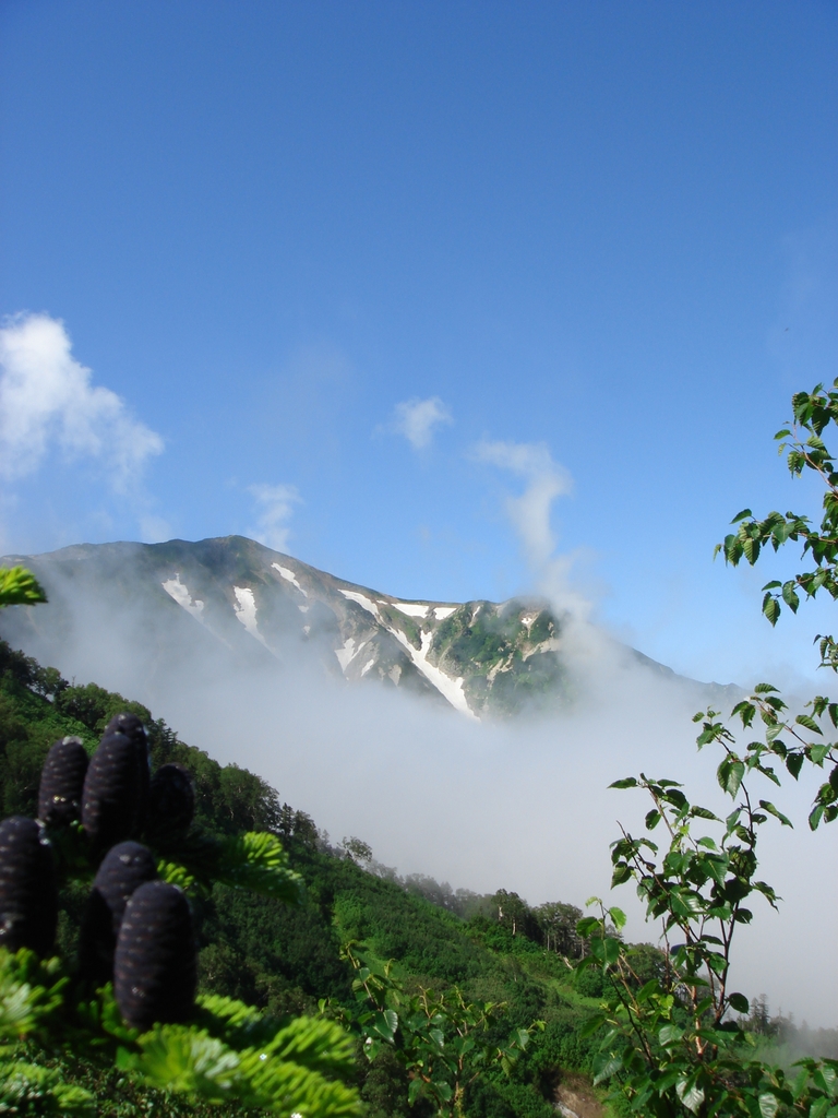 蓮華温泉～白馬大池へ　２