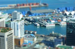 海飛ぶビートル