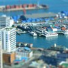 海飛ぶビートル