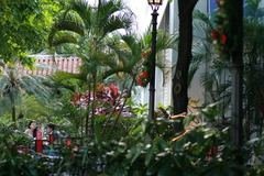 常夏のクリスマス