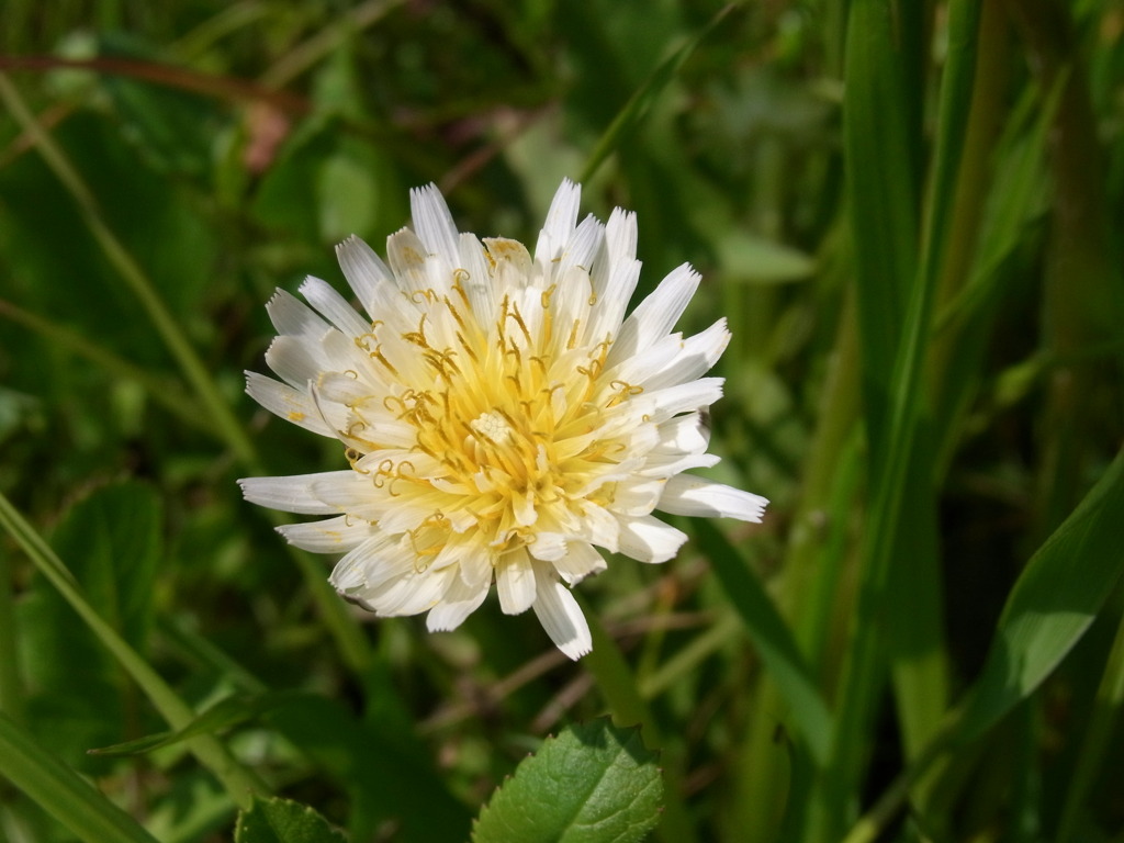 RIMG0358