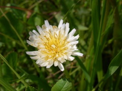 RIMG0358